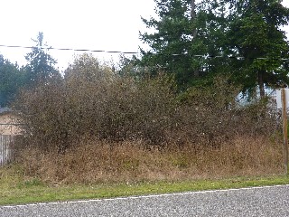 Picture of Point Roberts Parcel Number 415335-265228